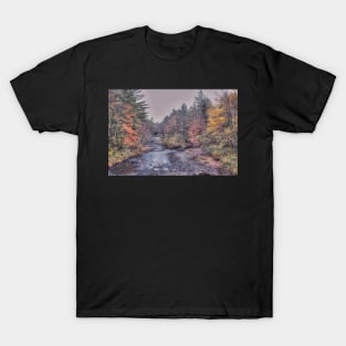 Crooked River Autumn T-Shirt